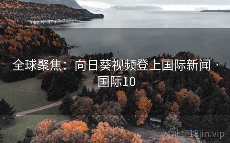 全球聚焦：向日葵视频登上国际新闻 · 国际10