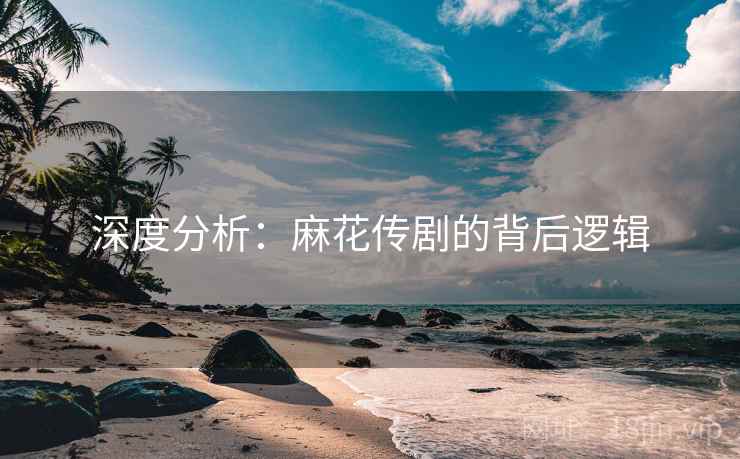 深度分析:麻花传剧的背后逻辑